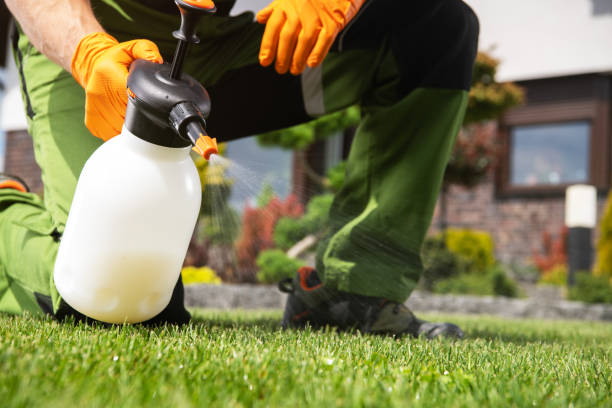 Best Termite Control Services  in Wanatah, IN