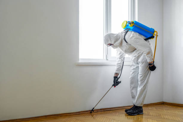 Best Pest Control for Restaurants  in Wanatah, IN
