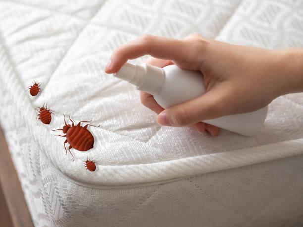 Best Best Pest Control Companies  in Wanatah, IN