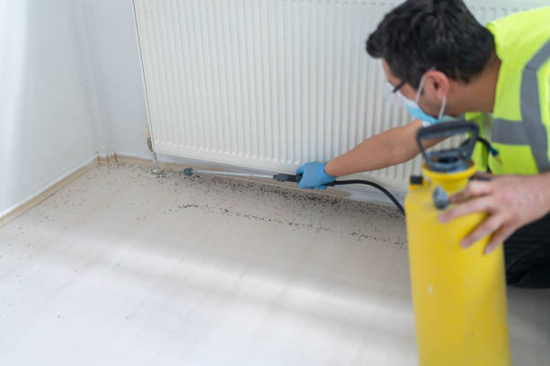 Best Insect Control  in Wanatah, IN