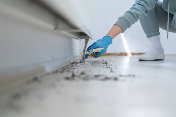 Pest Control Cost in Wanatah, IN